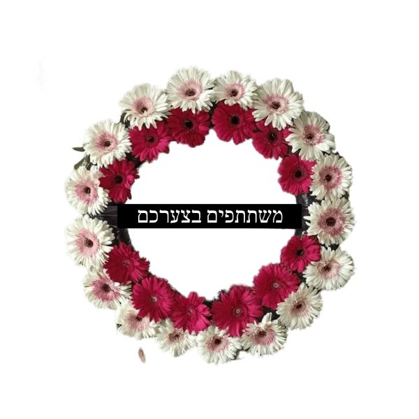 גלגל אבל שתי שורות